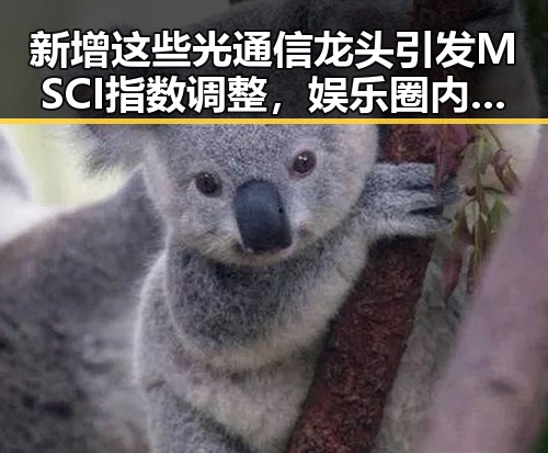 新增这些光通信龙头引发MSCI指数调整，娱乐圈内幕中她不仅分析了明星八卦还能默捐款帮助贫困地区