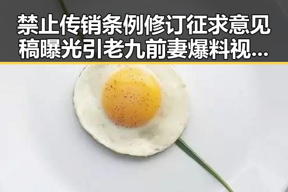 禁止传销条例修订征求意见稿曝光引老九前妻爆料视频内幕震惊吃瓜群众