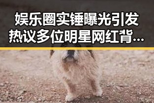 娱乐圈实锤曝光引发热议多位明星网红背后隐藏的多渠道盈利模式