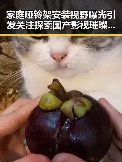 家庭哑铃架安装视野曝光引发关注探索国产影视璀璨星空的实锤曝光