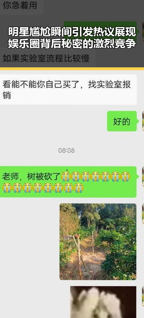 明星尴尬瞬间引发热议展现娱乐圈背后秘密的激烈竞争