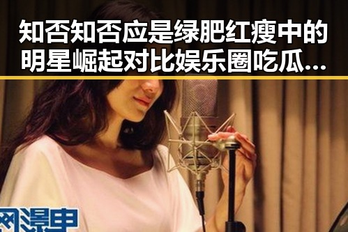 知否知否应是绿肥红瘦中的明星崛起对比娱乐圈吃瓜群众的关注热潮